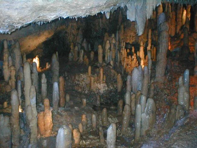 巴巴多斯 · Harrison's Cave