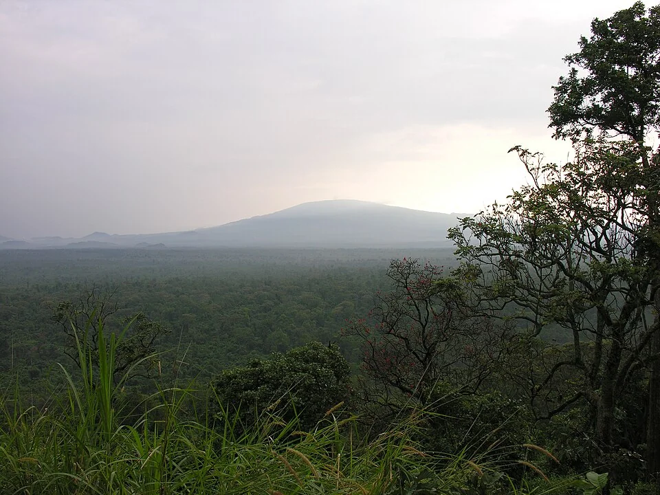 刚果（金） · Virunga National Park