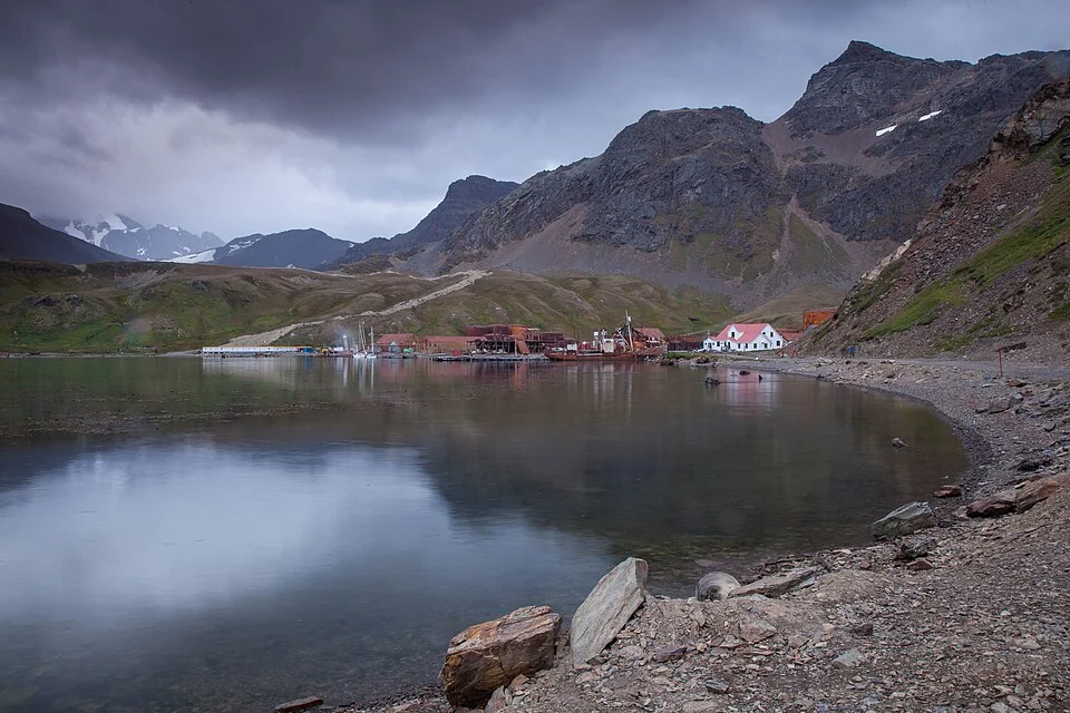 南乔治亚和南桑威奇群岛 · Grytviken