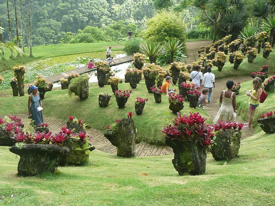 马提尼克 · Jardin de Balata