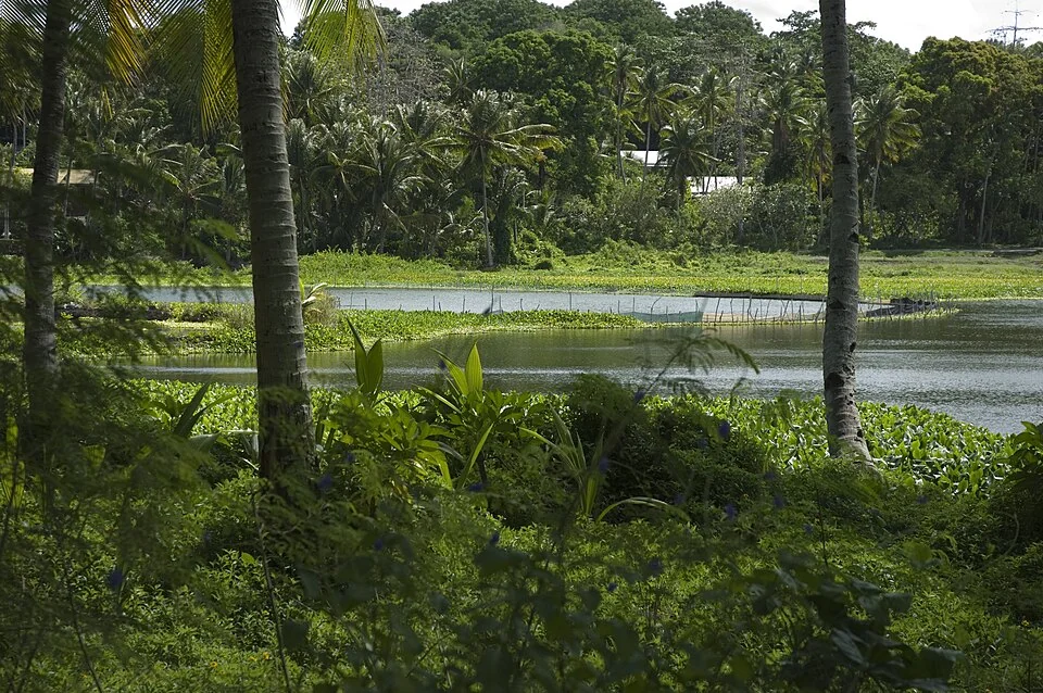 瑙鲁 · Buada Lagoon