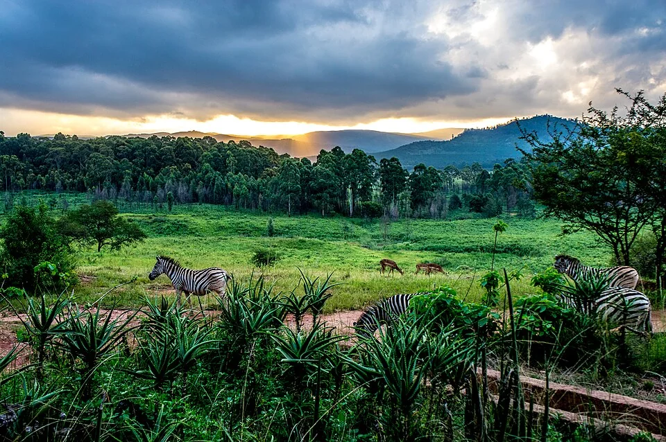 斯威士兰 · Mlilwane Wildlife Sanctuary